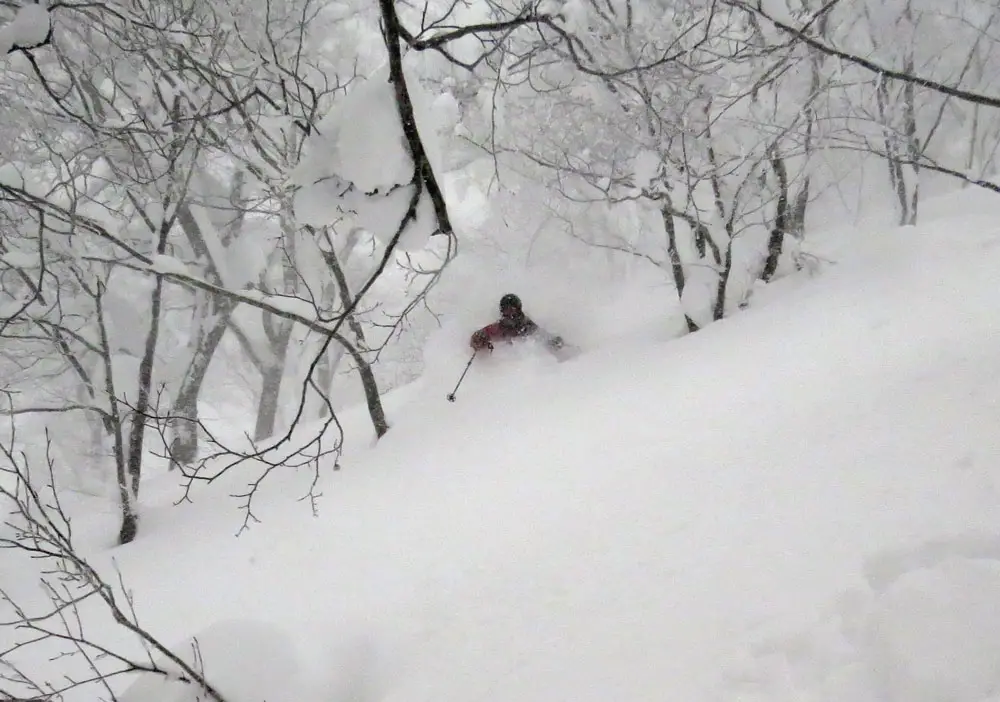 And another epic powder run