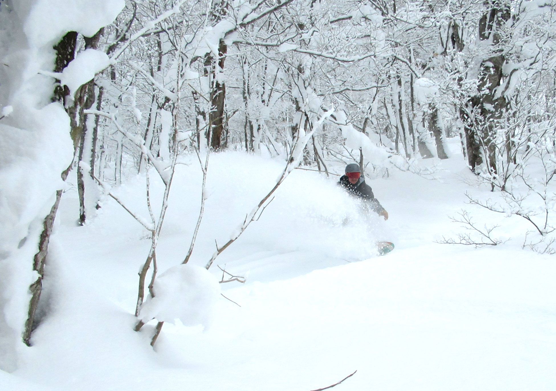 Our guide finding plenty of pow stashes