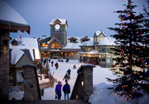 Canada Packages - Bigwhite