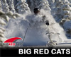 Powder Safari | Big Red Cats