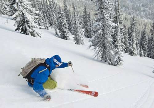 Valhalla Cat Skiing BC - some of the best terrain & best snow in BC