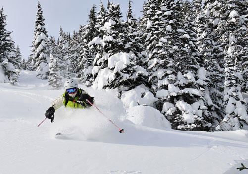 Skeena Cat Skiing BC - huge terrain way up north