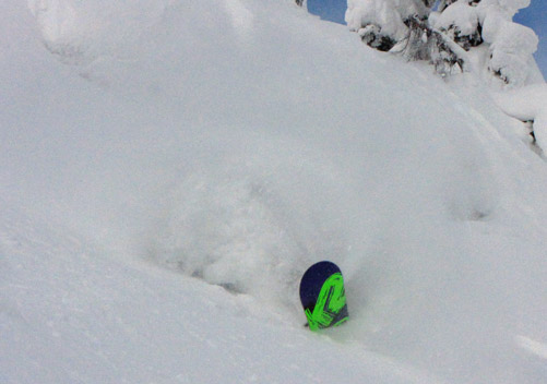 So where is the best cat skiing in BC? Click on the image above to find out
