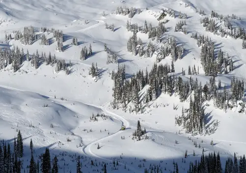 Monashee has a large tenure