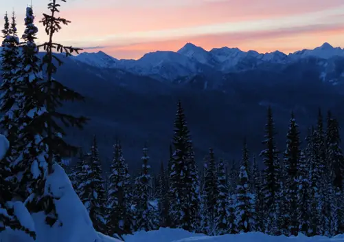 Monashee Powder Cats