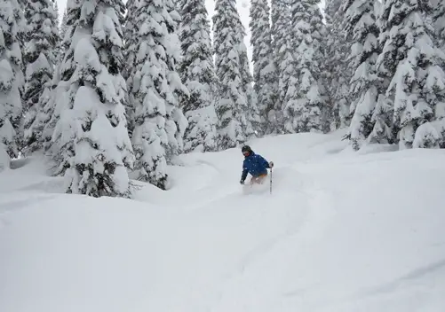 Nothing too gnarly