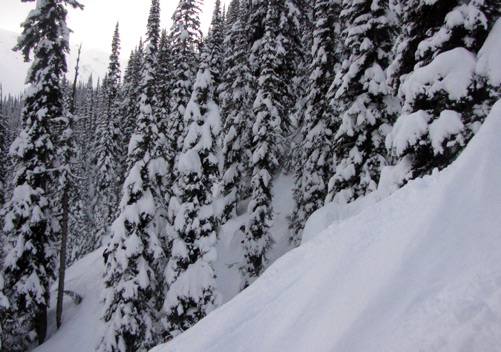 Retallack Cat Skiing