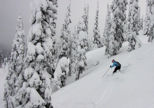 Fernie Skiing
