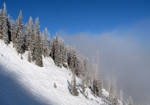 Kicking Horse Skiing