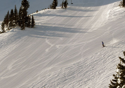 Long Groomed Runs