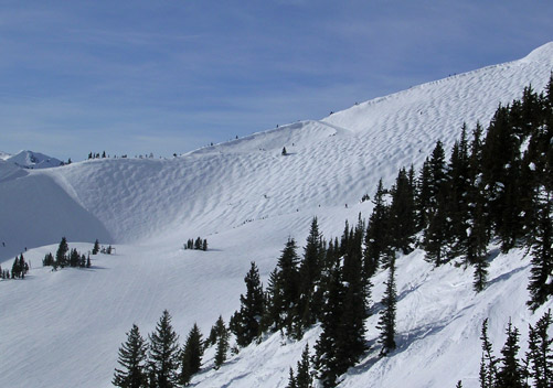 Kicking Horse Moguls