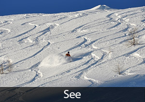 See: Best Powder Ski Resort in Austria