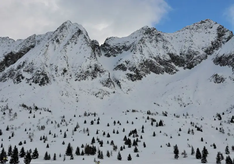 Tonale freeride terrain above Passo del Tonale.
