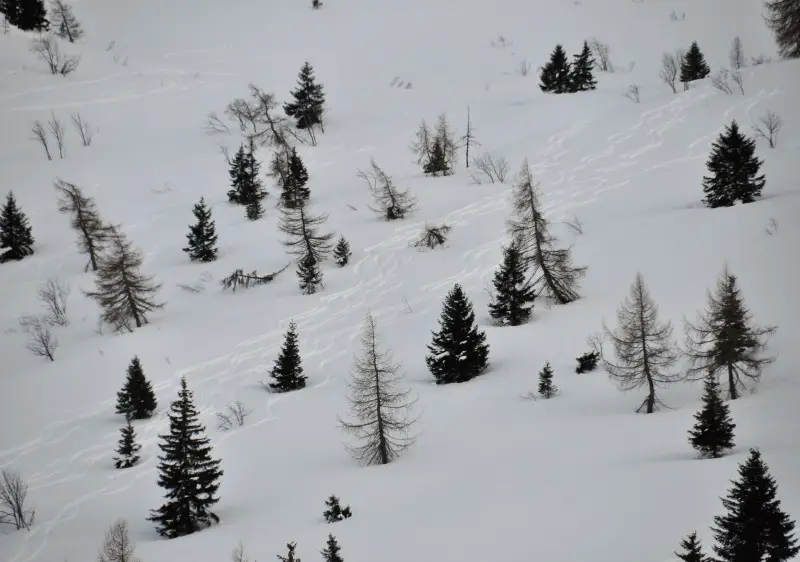 War memorial at Tonale.