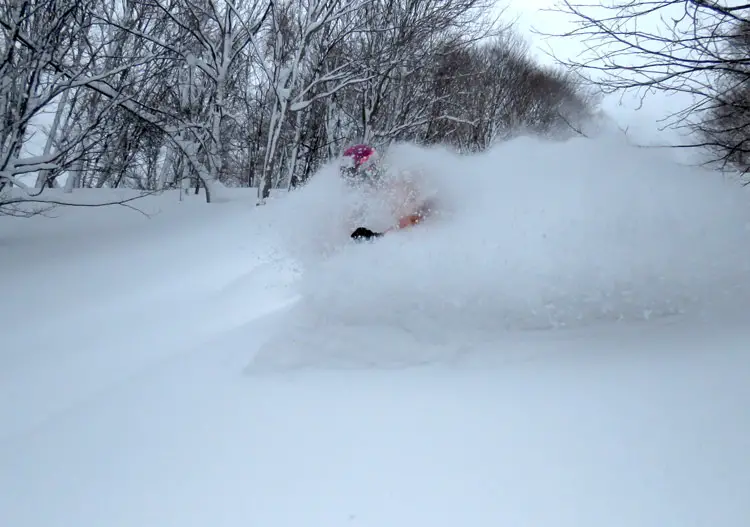 Otoe Cat Skiing Hokkaido
