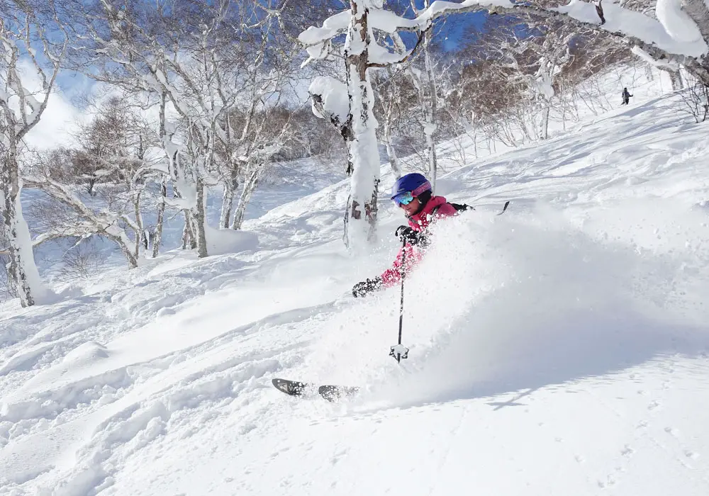 Ski Niseko Hokkaido