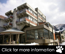 Nozawa Onsen Hotel Hotel Accommodation Nozawa Onsen