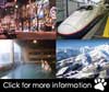 Hokkaido & Honshu Combo Ski Safaris