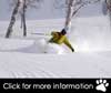Japan Ski & Snowboard Progression Tors