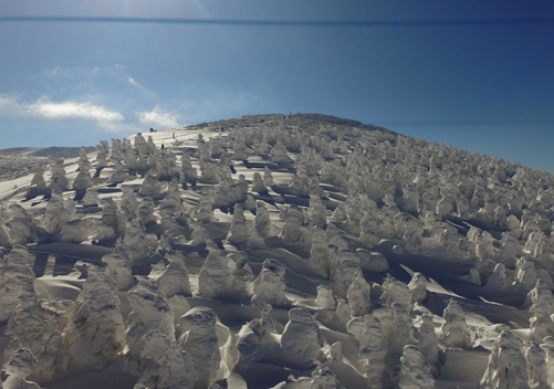 Japan Snow Monsters