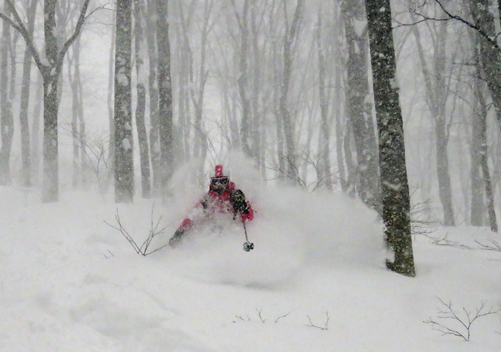 Ski in Japan - Myoko Kogen
