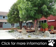 Forest Lodge | Mt Hutt Lift & Accommodation Package