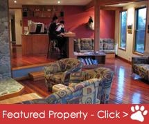 Mt Taylor Lodge | Methven Ski & Drive Package