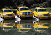 Wanacab, Wanaka Taxi Service
