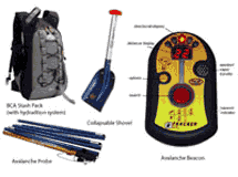 Avalanche Essentials Pack