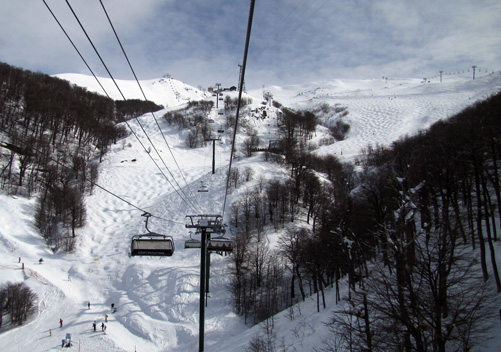 The lower parts of the mountain has tree skiing
