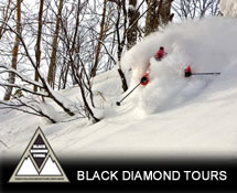Niseko & Rusutsu Guided Tour