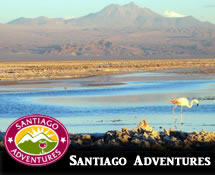 Chile ski & wine tour
