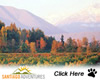 Day Wine Tours from Santiago