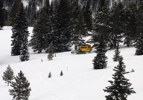 Aspen Powder Tours