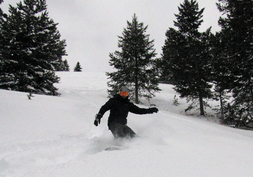 Aspen Powder Tours