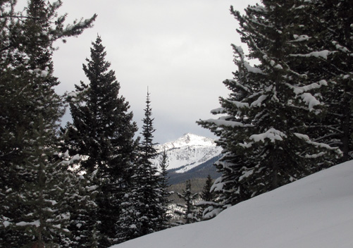 Aspen Powder Tours