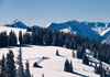 Aspen Powder Tours Snowcat Skiing Colorado