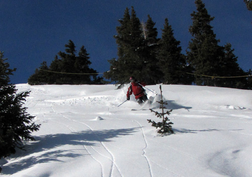 Silverton Mountain