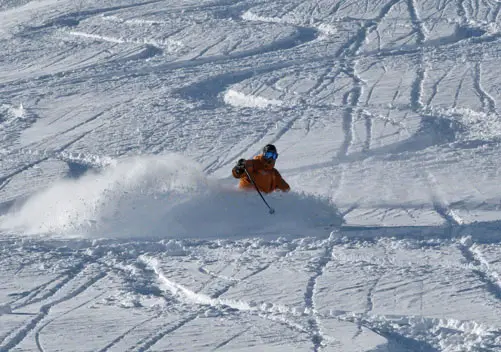 Best USA Ski Resort Award for Alta Utah