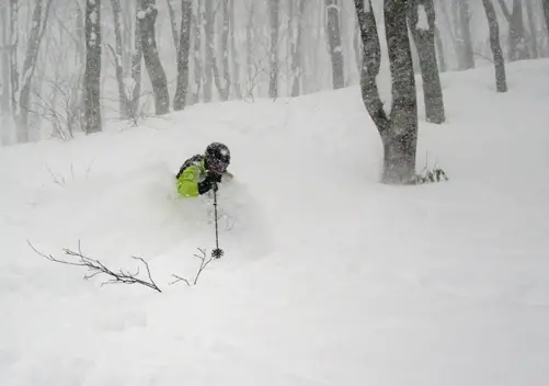 Finding freshies