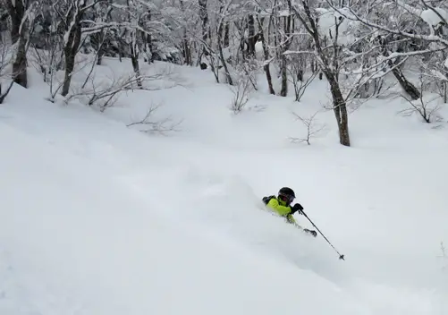 Powder!