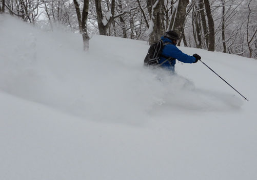 Plenty of freshies!