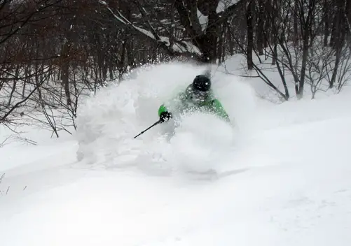 Top Dog enjoying the plentiful freshies