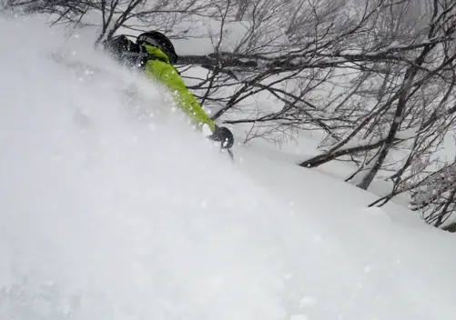 Easy to find fresh powder