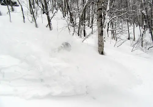 Gotta love a powder day!