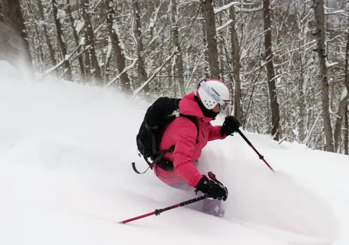 Much of the tree skiing is mellow