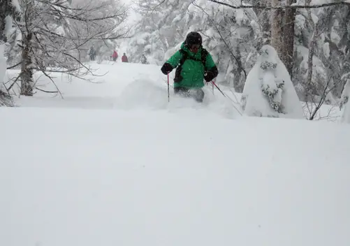 Tree skiing