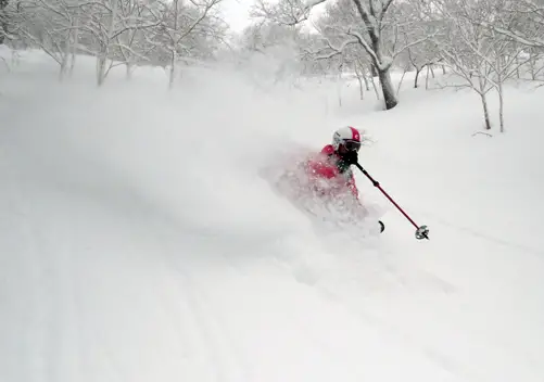 Powder on tap...