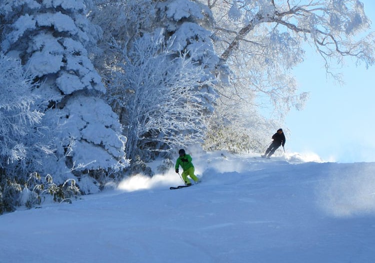 Fluff on-piste at Shiga