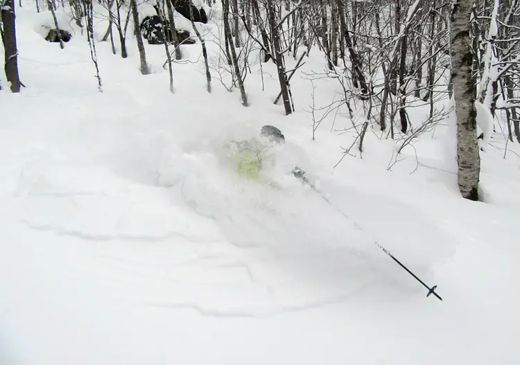 So much powder on offer